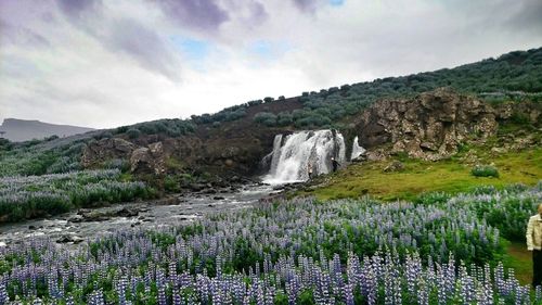 Scenic view of landscape against cloudy sky