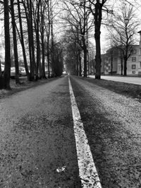 Empty road along trees