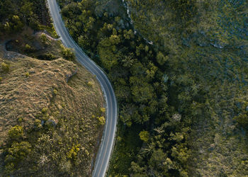 High angle view of road amidst trees