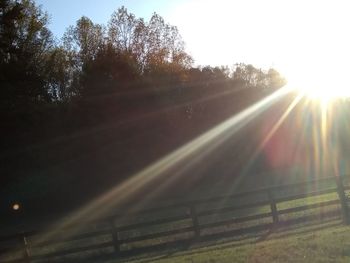 Sunlight streaming through trees on field during sunny day