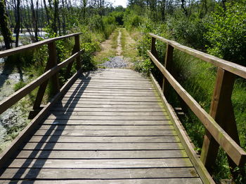 View of footbridge in forest