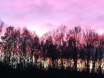 Silhouette trees against sky during sunset