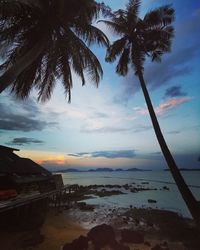 Palm trees by swimming pool against sky during sunset