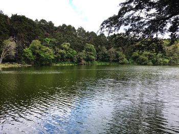 Scenic view of lake by trees against sky