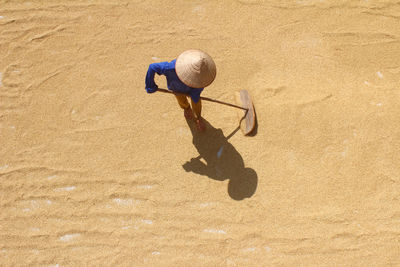 High angle view of farmer working on harvested grains