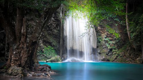 Scenic view of waterfall in forest