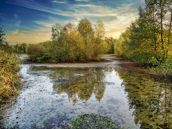 Scenic view of lake in forest against sky