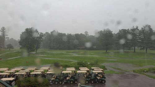 Scenic view of trees against sky