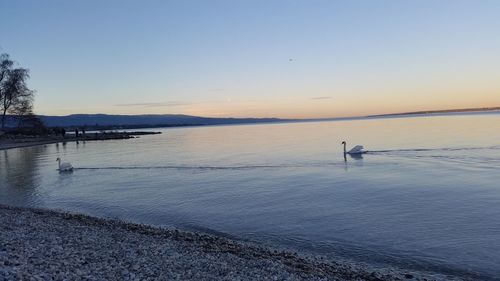 Scenic view of beach at sunset