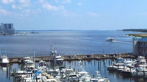 Sailboats moored at harbor