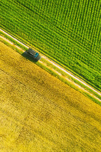 Aerial view of car in agricultural field