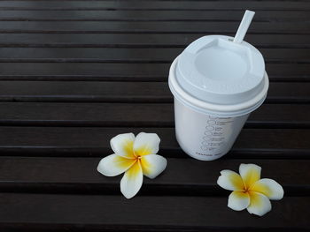 Close-up of white frangipani on table