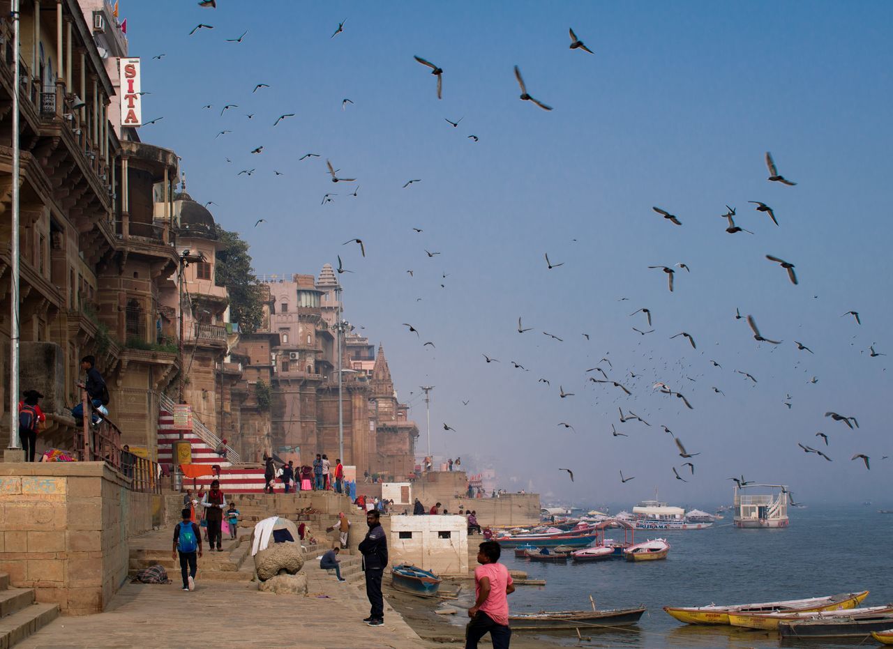 Serenity Ganga River Birds Flying Serenity Ghats Of Varanasi Bird Cityscape Sky Architecture