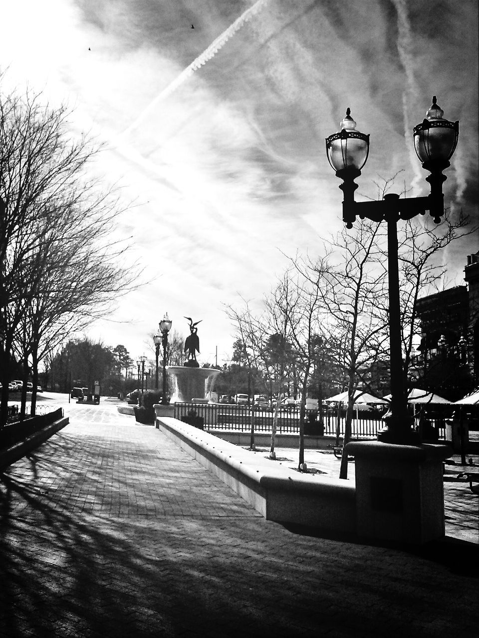 street light, tree, transportation, lighting equipment, built structure, railing, sky, architecture, street, connection, mode of transport, outdoors, bridge - man made structure, incidental people, car, building exterior, day, city, land vehicle, road