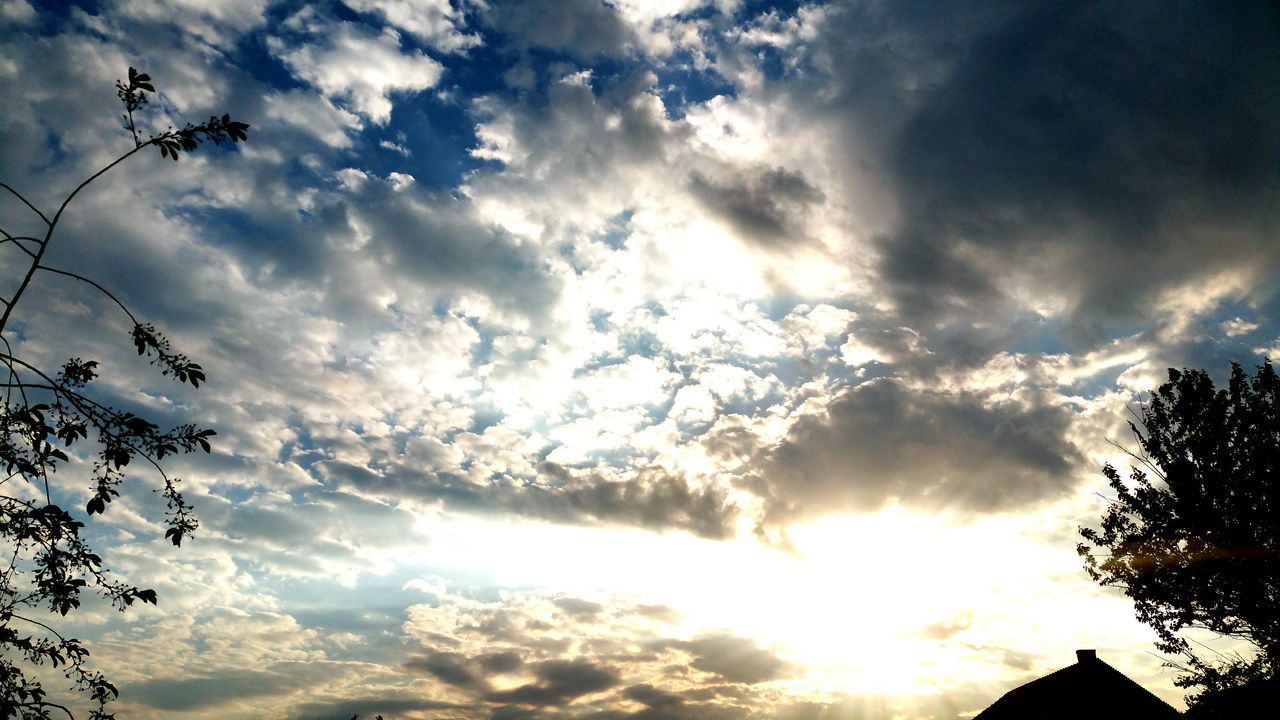 cloud - sky, sky, low angle view, nature, sunlight, sunbeam, tree, sun, no people, beauty in nature, outdoors, silhouette, day