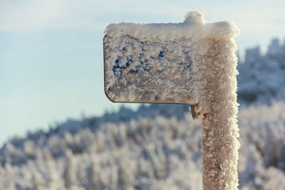 Close-up of rusty metal during winter