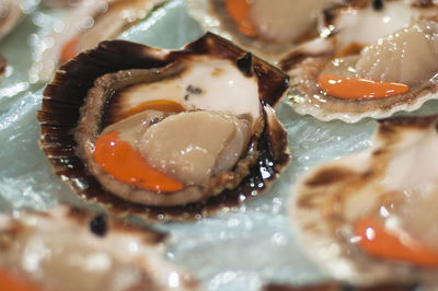 Close-up of breakfast served in plate