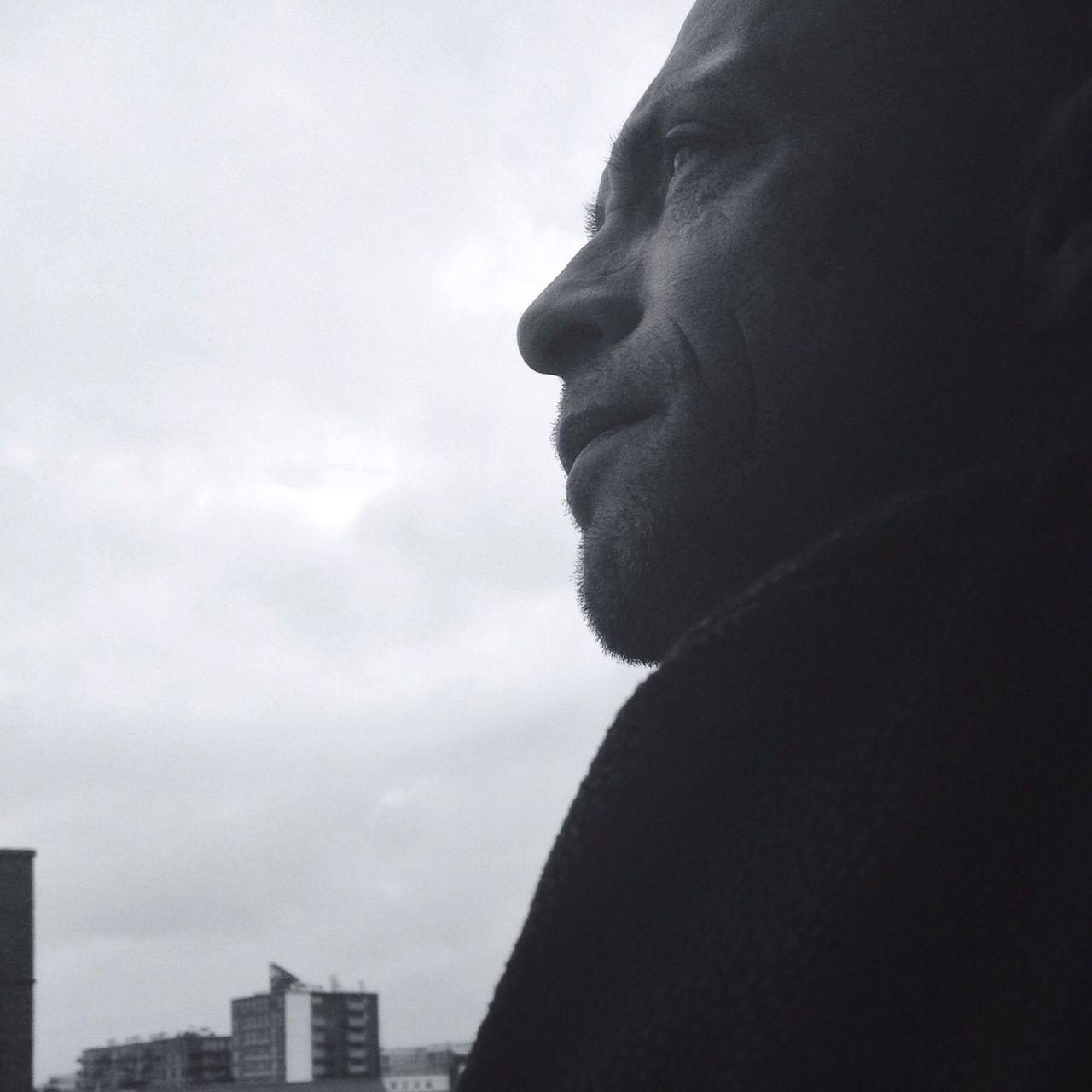 sky, low angle view, statue, cloud - sky, cloudy, cloud, focus on foreground, outdoors, close-up, sculpture, day, silhouette, no people, one animal, nature, built structure, looking away, building exterior, side view, overcast