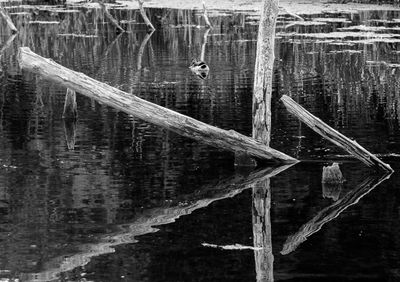 Close-up of frozen lake