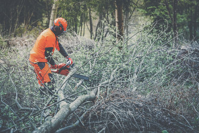 Man holding a chainsaw cut trees. lumberjack at work. gardener working outdoor in the forest. 