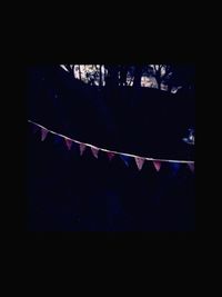 View of trees in the dark