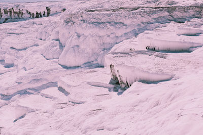 View of horse on snow covered land