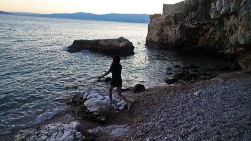 Swans on rock by sea against sky