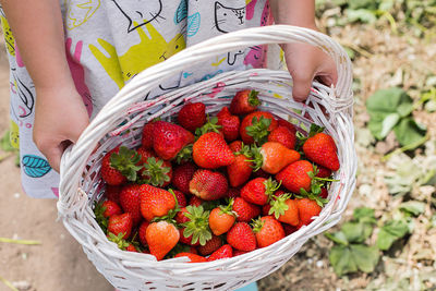 High angle view of strawberries in basket