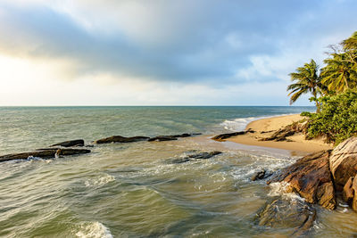 Desert beach at afternoon on ilhabela tropica  island, sao paulo, brazil