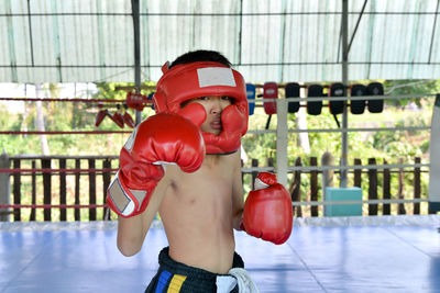 Portrait of teenage boy wearing gloves while standing in boxing ring