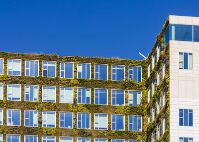 Netherlands, amsterdam, office building with acade greenery