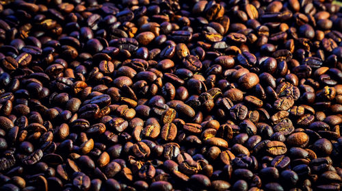 Roasted coffee beans background. ideas photography coffee beans for background applications.