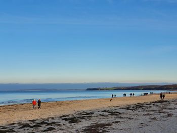 People on beach against blue sky