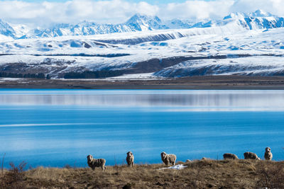 Scenic view of lake by snowcapped mountains against sky