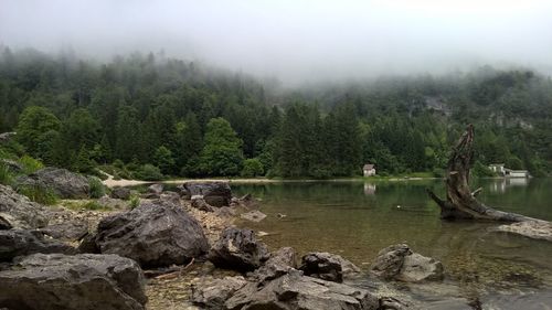 Scenic view of lake by trees against sky