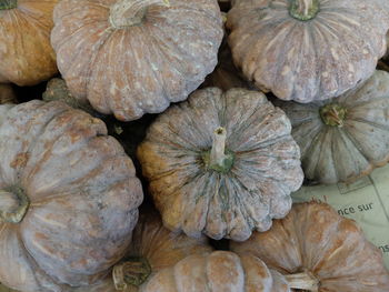 Directly above view of fresh pumpkins