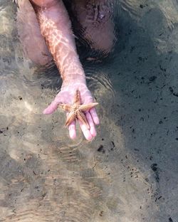 Cropped hand of woman holding starfish in sea