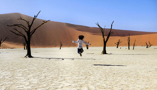 Bare trees on desert land against sky