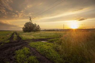 Scenic view of field against sky during sunset