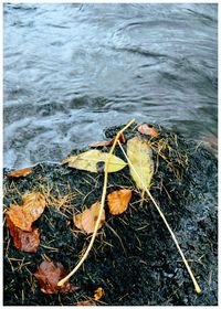 Close-up of water