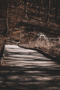 Surface level of road amidst trees in forest