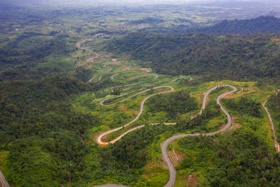 High angle view of road amidst trees in forest