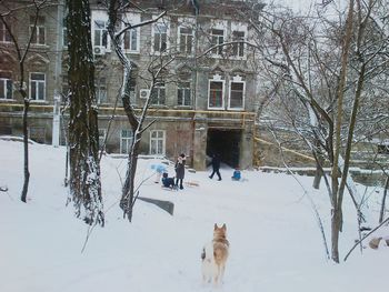 Bare trees on snow covered landscape