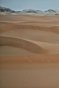 Scenic view of desert