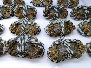 High angle view of chinese hairy crab on table in supermarket