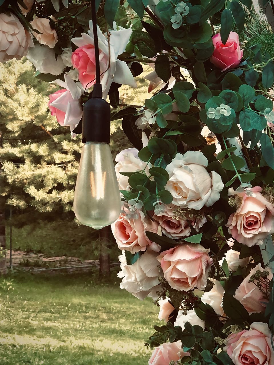 LOW ANGLE VIEW OF ROSE BOUQUET AGAINST RED ROSES