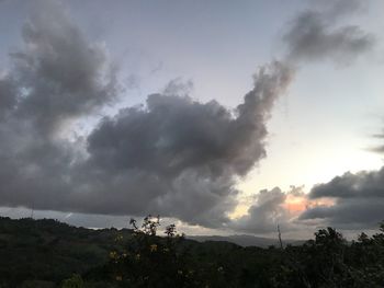 Low angle view of tree mountain against sky