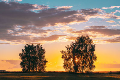 Silhouette trees on field against sky during sunset