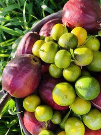 High angle view of grapes