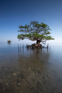 Scenic view of lake against clear blue sky